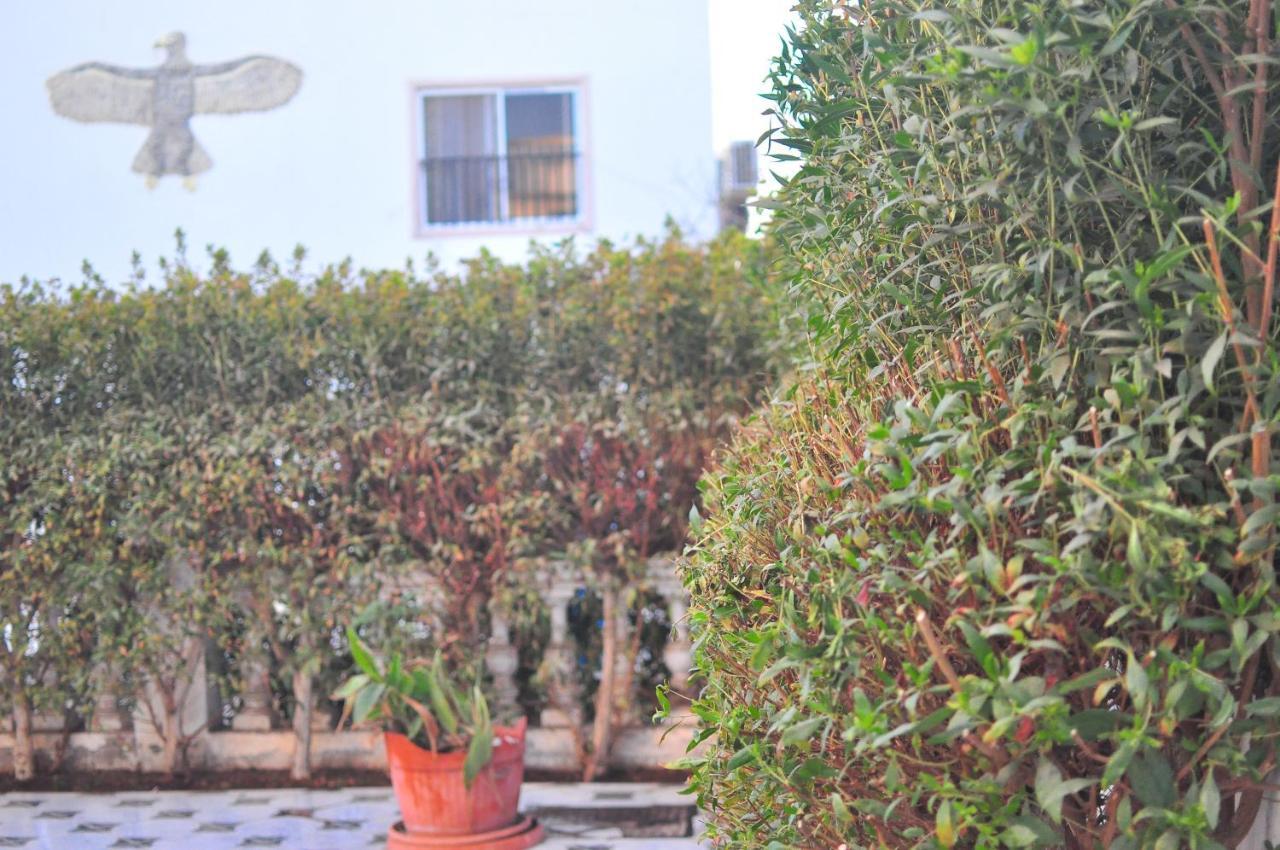 Morning Star Guesthouse Sharm el-Sheikh Bagian luar foto