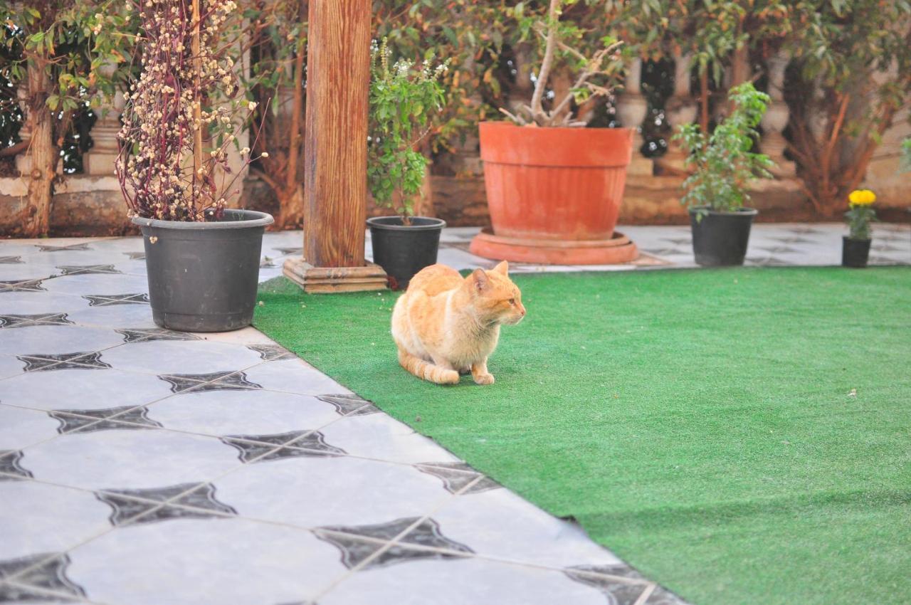 Morning Star Guesthouse Sharm el-Sheikh Bagian luar foto
